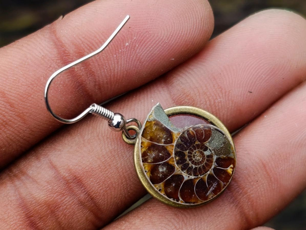 Hand Made Cleoniceras Ammonite Fossil Jewellery Earrings - Sold Per Pair - From Tulear, Madagascar