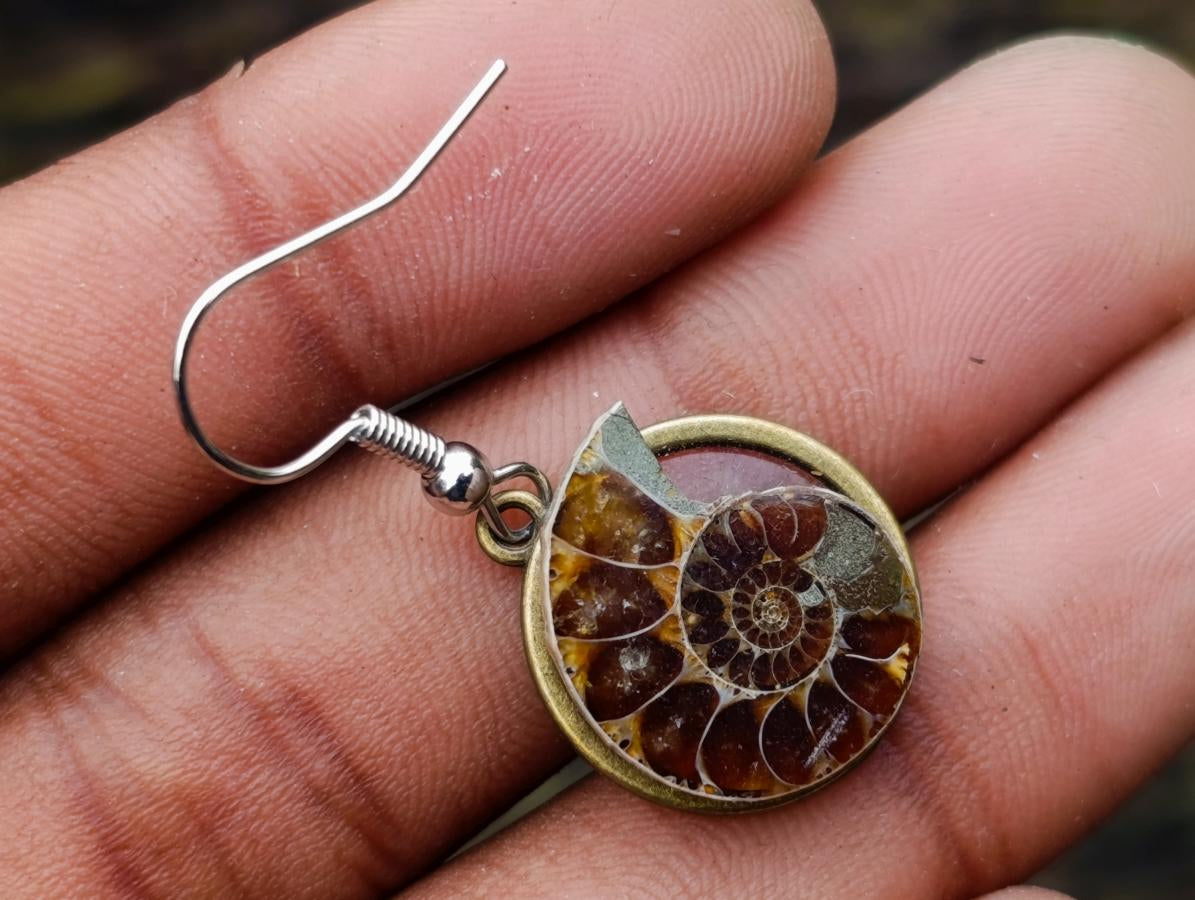 Hand Made Cleoniceras Ammonite Fossil Jewellery Earrings - Sold Per Pair - From Tulear, Madagascar