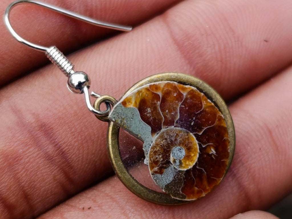 Hand Made Cleoniceras Ammonite Fossil Jewellery Earrings - Sold Per Pair - From Tulear, Madagascar