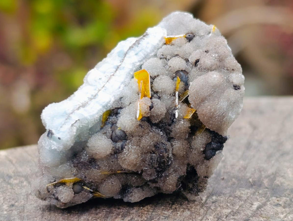 Natural Ultra Rare Tabular Arizonian Wulfenite Specimen x 1 From Arizona, United States of America