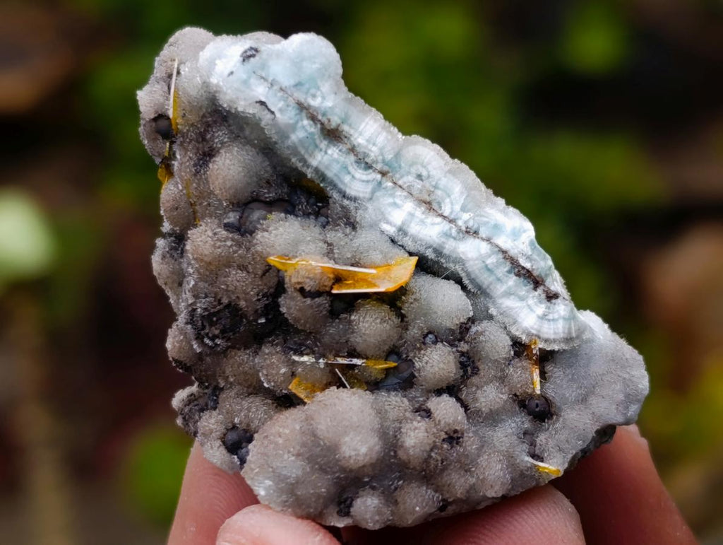 Natural Ultra Rare Tabular Arizonian Wulfenite Specimen x 1 From Arizona, United States of America
