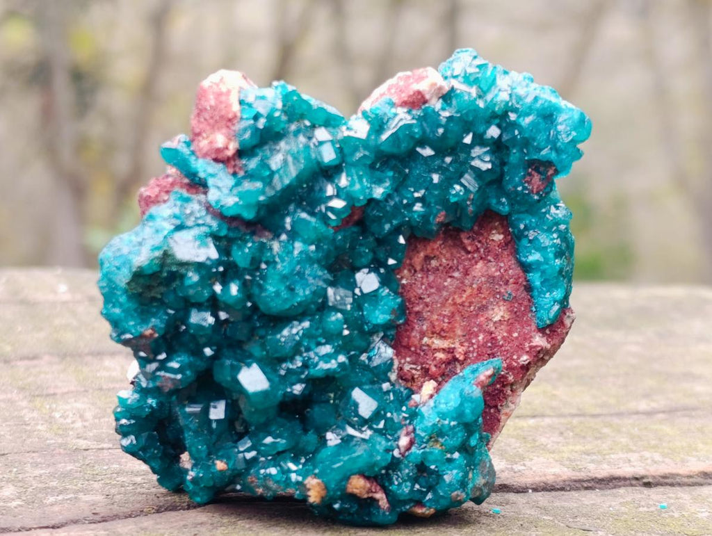 Natural Dioptase Specimen on a Dolomite Matrix x 1 From Mashamba East, Congo