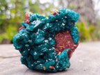 Natural Dioptase Specimen on a Dolomite Matrix x 1 From Mashamba East, Congo