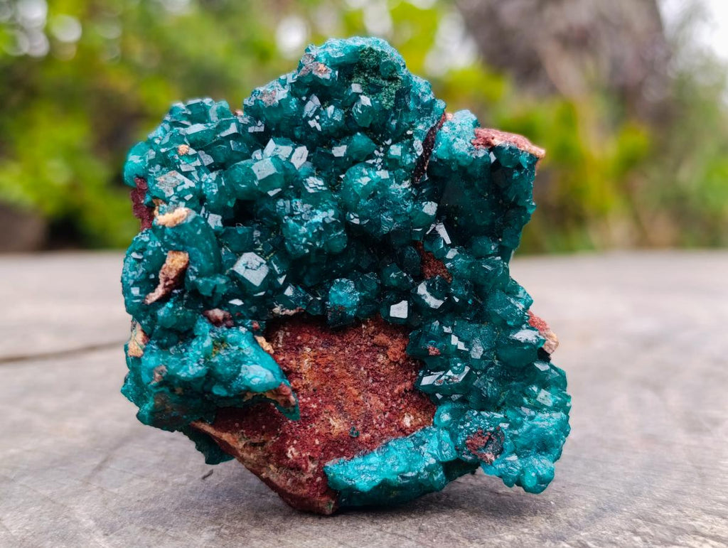 Natural Dioptase Specimen on a Dolomite Matrix x 1 From Mashamba East, Congo