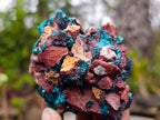 Natural Dioptase Specimen on a Dolomite Matrix x 1 From Mashamba East, Congo