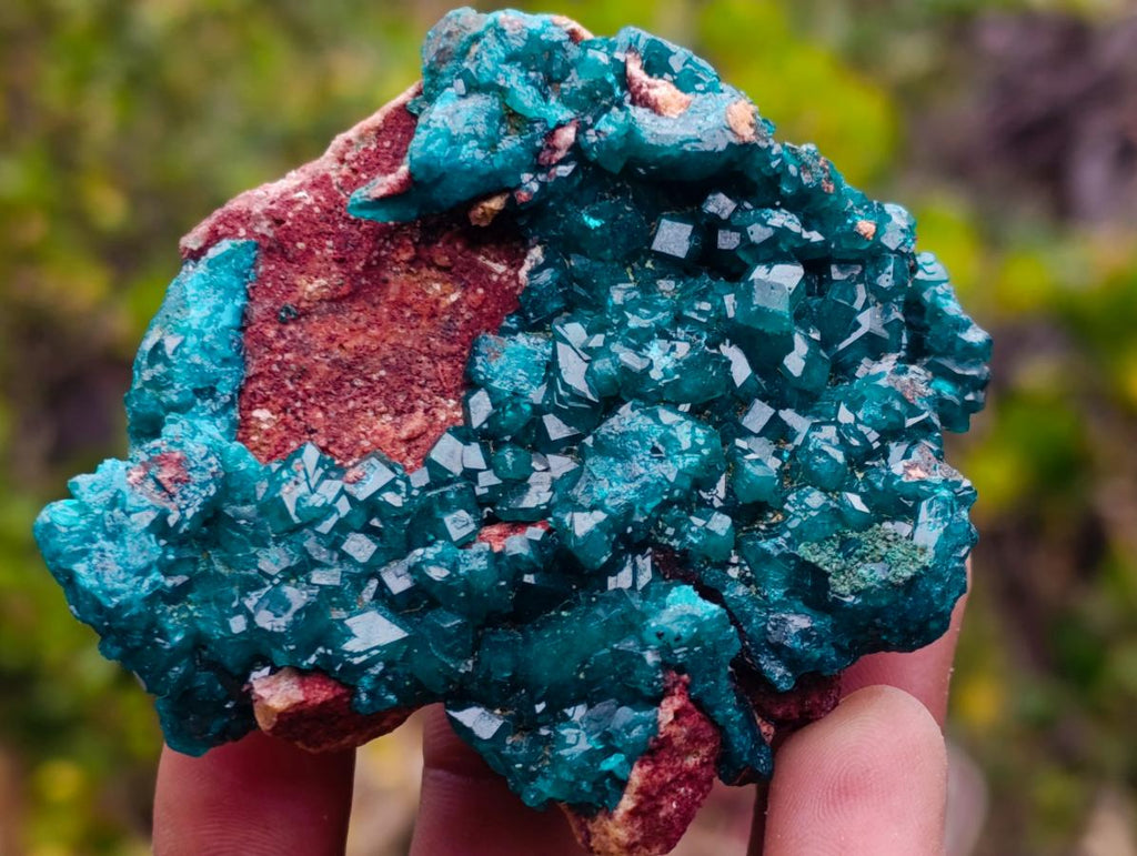 Natural Dioptase Specimen on a Dolomite Matrix x 1 From Mashamba East, Congo