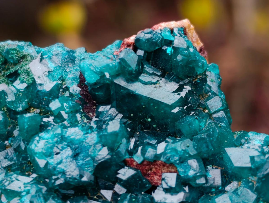 Natural Dioptase Specimen on a Dolomite Matrix x 1 From Mashamba East, Congo