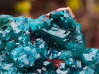 Natural Dioptase Specimen on a Dolomite Matrix x 1 From Mashamba East, Congo