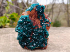 Natural Cabinet Size Dioptase Specimen on a Dolomite Matrix x 1 From Mashamba East Mine, Congo