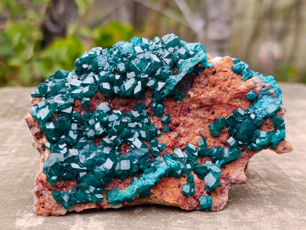 Natural Cabinet Size Dioptase Specimen on a Dolomite Matrix x 1 From Mashamba East Mine, Congo