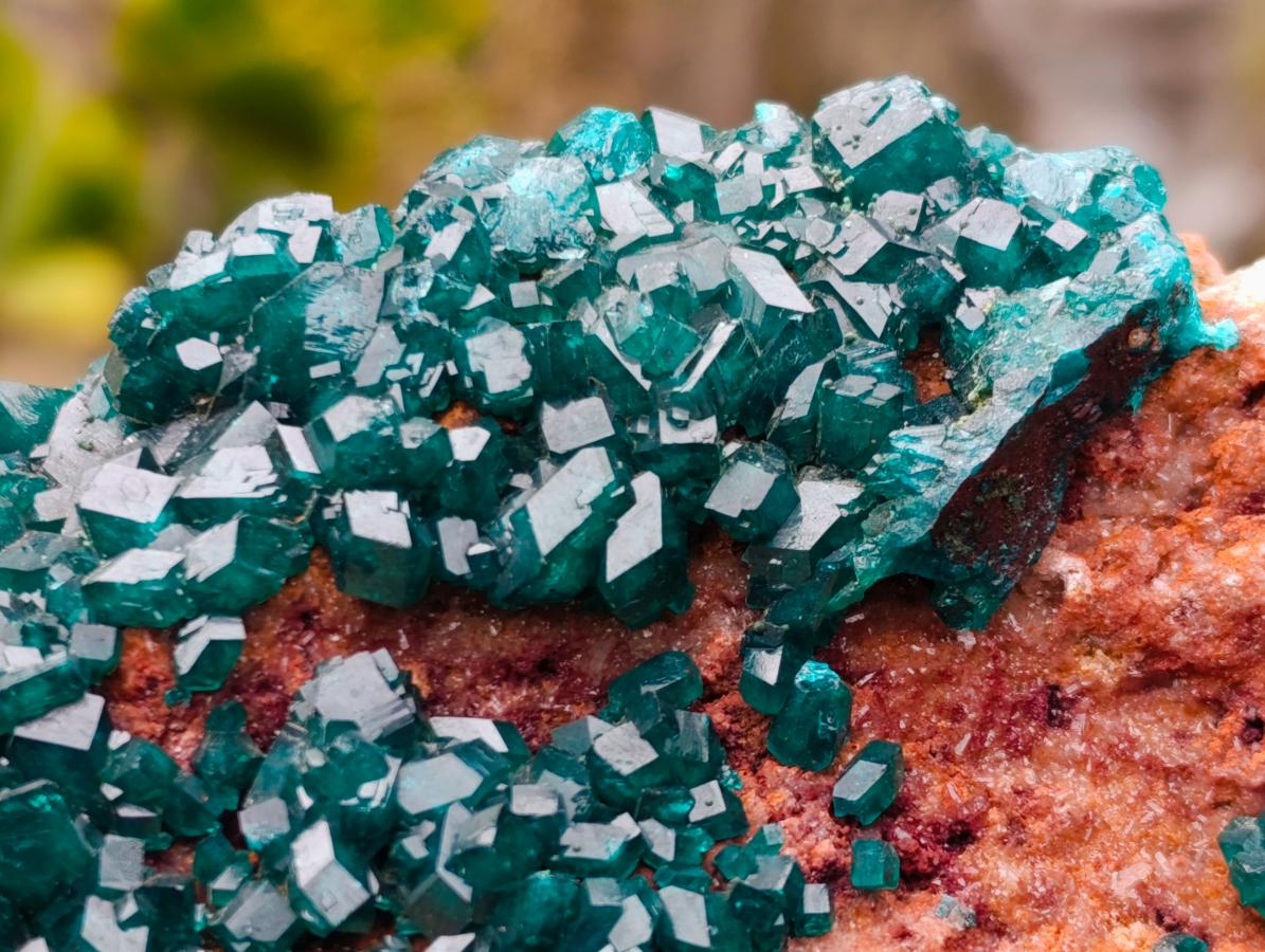 Natural Cabinet Size Dioptase Specimen on a Dolomite Matrix x 1 From Mashamba East Mine, Congo