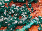 Natural Cabinet Size Dioptase Specimen on a Dolomite Matrix x 1 From Mashamba East Mine, Congo