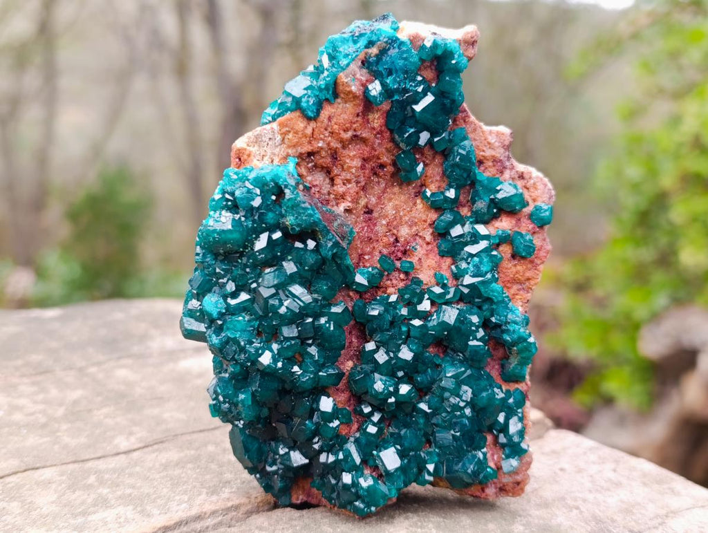 Natural Cabinet Size Dioptase Specimen on a Dolomite Matrix x 1 From Mashamba East Mine, Congo