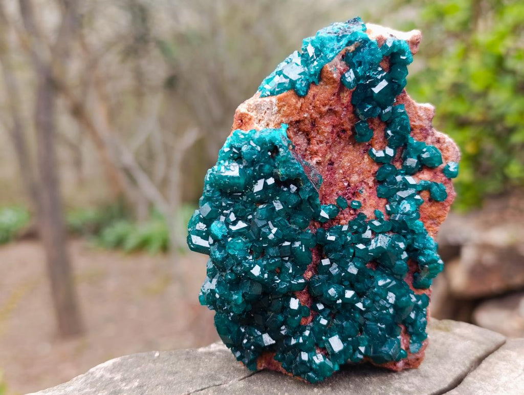 Natural Cabinet Size Dioptase Specimen on a Dolomite Matrix x 1 From Mashamba East Mine, Congo