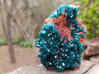 Natural Cabinet Size Dioptase Specimen on a Dolomite Matrix x 1 From Mashamba East Mine, Congo