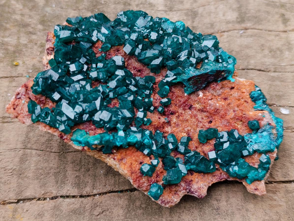 Natural Cabinet Size Dioptase Specimen on a Dolomite Matrix x 1 From Mashamba East Mine, Congo