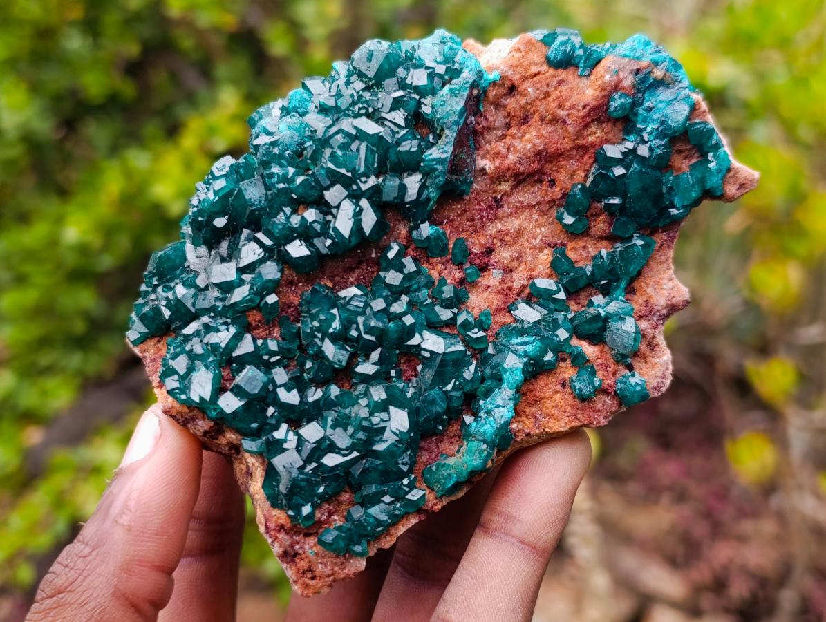 Natural Cabinet Size Dioptase Specimen on a Dolomite Matrix x 1 From Mashamba East Mine, Congo