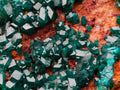Natural Cabinet Size Dioptase Specimen on a Dolomite Matrix x 1 From Mashamba East Mine, Congo