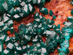 Natural Cabinet Size Dioptase Specimen on a Dolomite Matrix x 1 From Mashamba East Mine, Congo