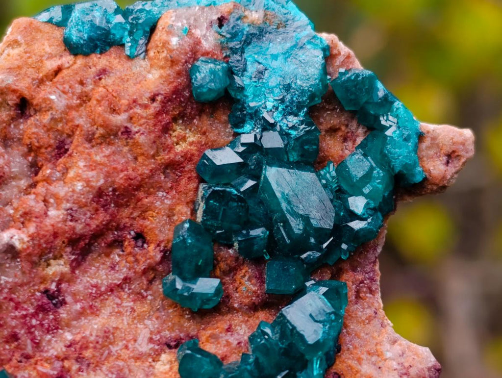 Natural Cabinet Size Dioptase Specimen on a Dolomite Matrix x 1 From Mashamba East Mine, Congo
