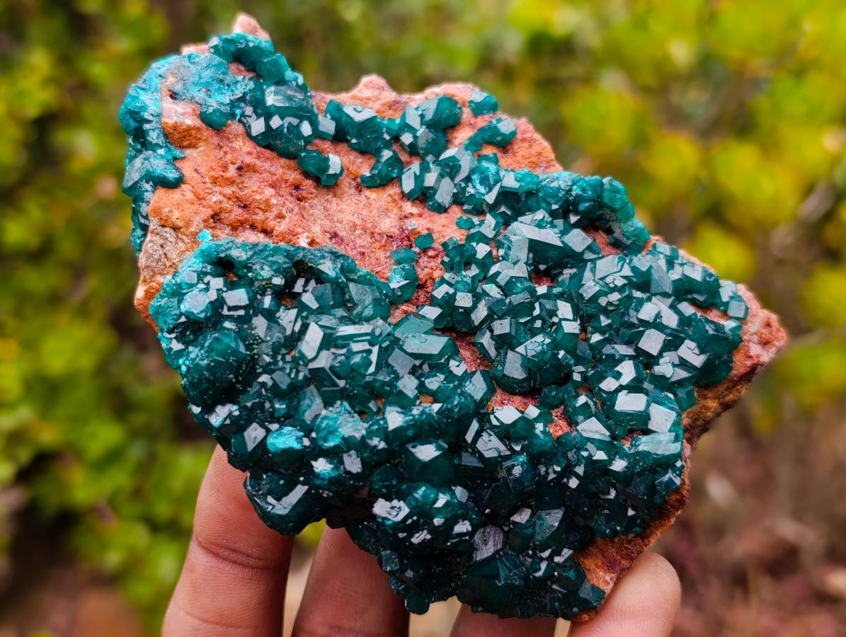 Natural Cabinet Size Dioptase Specimen on a Dolomite Matrix x 1 From Mashamba East Mine, Congo