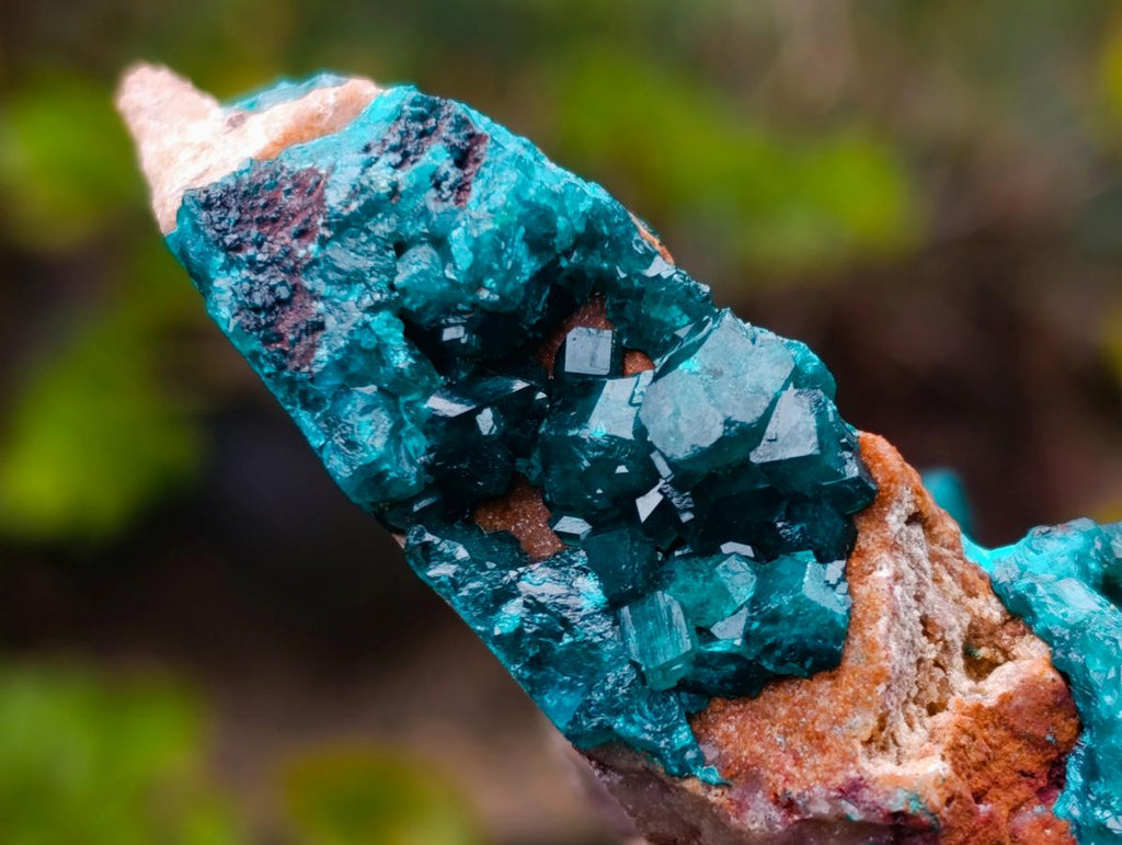 Natural Cabinet Size Dioptase Specimen on a Dolomite Matrix x 1 From Mashamba East Mine, Congo