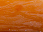 Polished Orange Twist Calcite Display Crystal x 1 From Madagascar