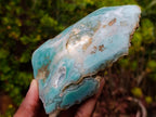 Polished One Side Mtorolite Emerald Chrysoprase Slice x 1 From Mutorashanga, Zimbabwe
