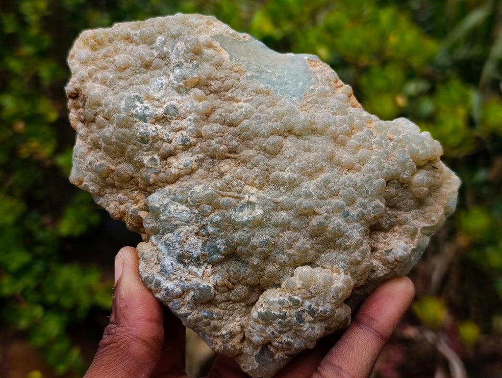 Polished One Side Mtorolite Emerald Chrysoprase Slice x 1 From Mutorashanga, Zimbabwe