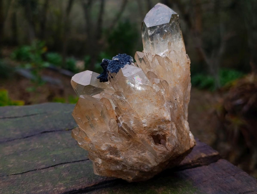 Natural Cabinet Size Cascading Citrine Crystal Cluster x 1 From Luena, Congo