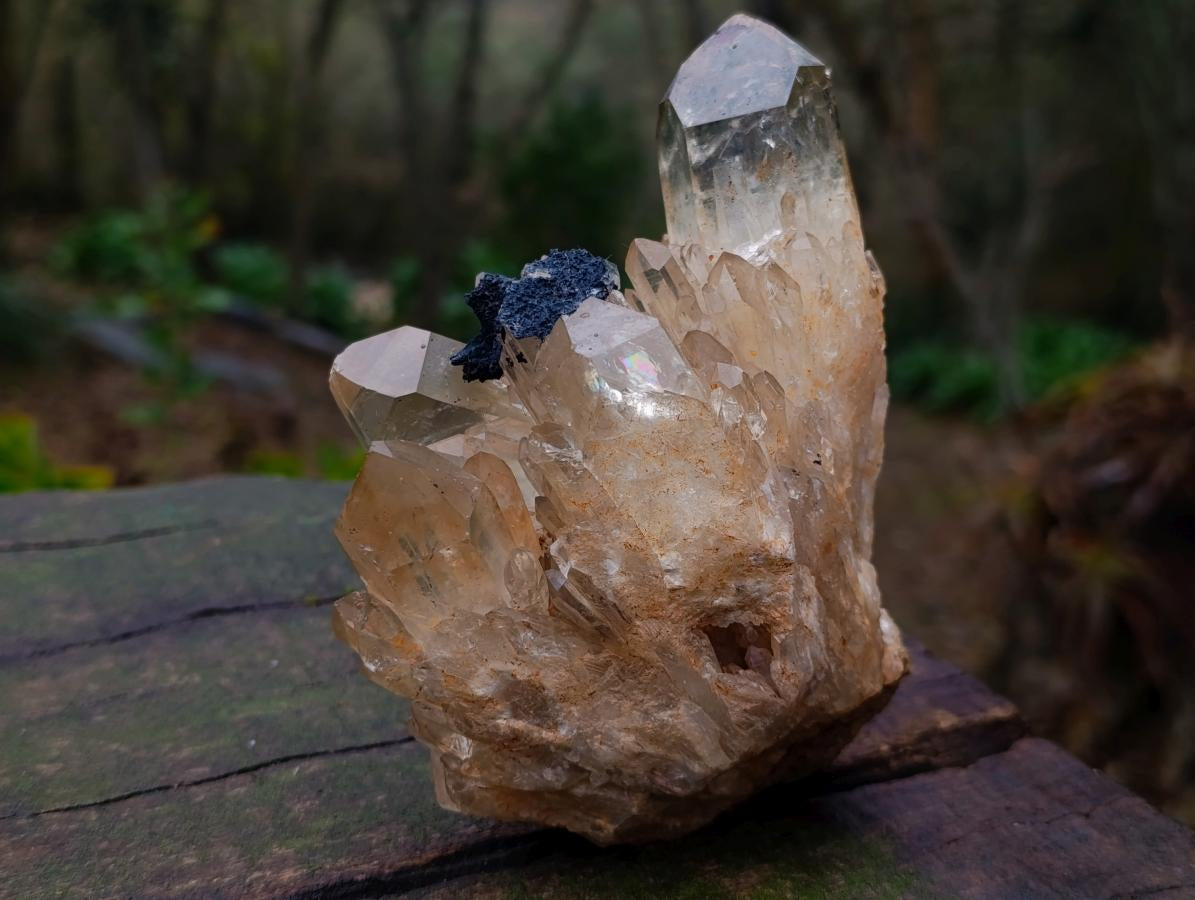 Natural Cabinet Size Cascading Citrine Crystal Cluster x 1 From Luena, Congo
