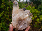 Natural Cabinet Size Cascading Citrine Crystal Cluster x 1 From Luena, Congo