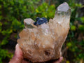 Natural Cabinet Size Cascading Citrine Crystal Cluster x 1 From Luena, Congo