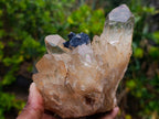 Natural Cabinet Size Cascading Citrine Crystal Cluster x 1 From Luena, Congo