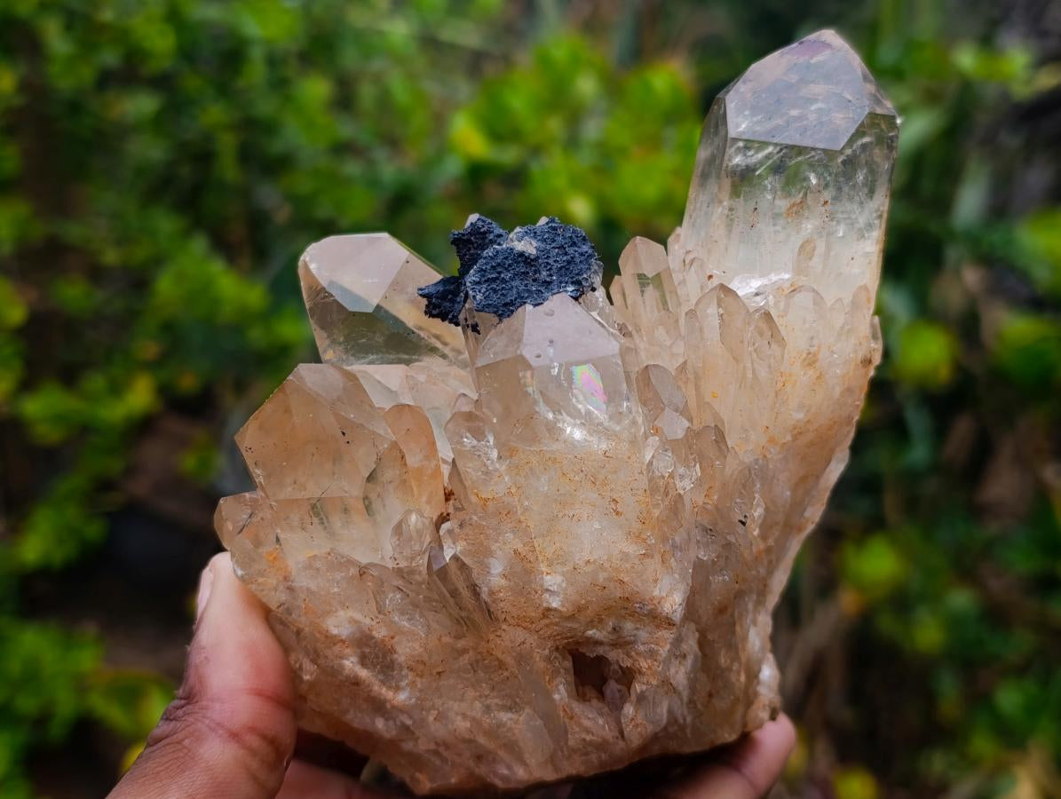 Natural Cabinet Size Cascading Citrine Crystal Cluster x 1 From Luena, Congo
