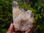 Natural Cabinet Size Cascading Citrine Crystal Cluster x 1 From Luena, Congo