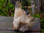 Natural Cabinet Size Cascading Citrine Crystal Cluster x 1 From Luena, Congo