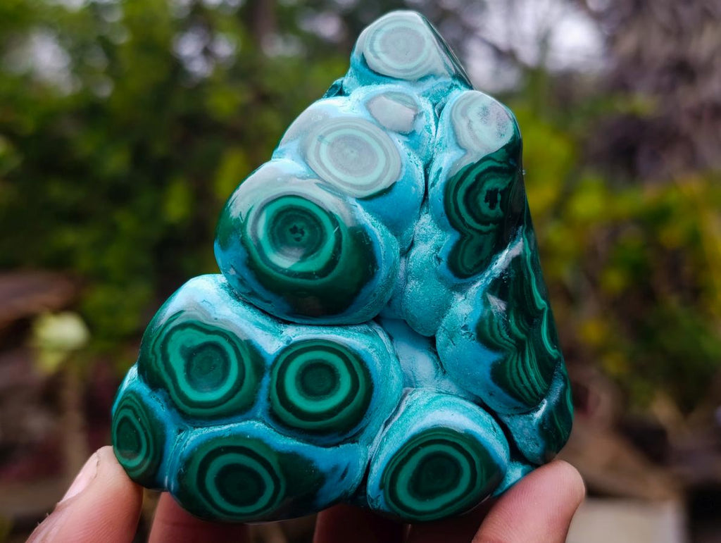 Polished "Eye" Ring Patterned Malacolla Free Form x 1 From Kulukuluku, Congo