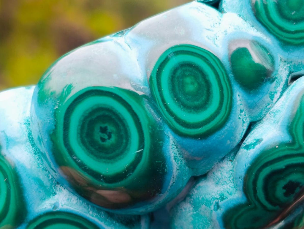 Polished "Eye" Ring Patterned Malacolla Free Form x 1 From Kulukuluku, Congo