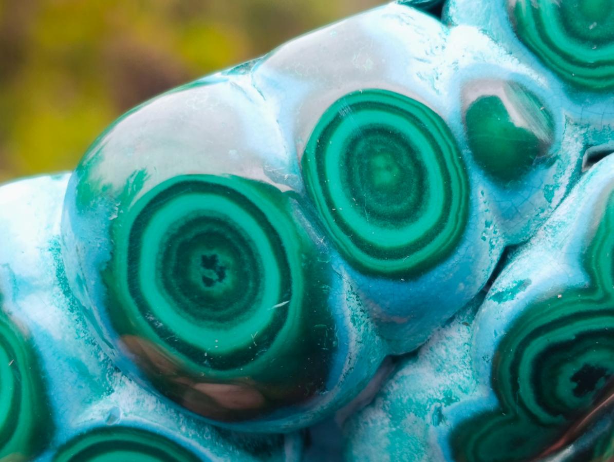 Polished "Eye" Ring Patterned Malacolla Free Form x 1 From Kulukuluku, Congo