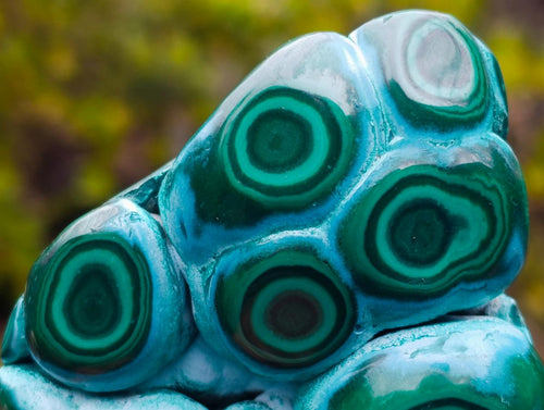 Polished "Eye" Ring Patterned Malacolla Free Form x 1 From Kulukuluku, Congo