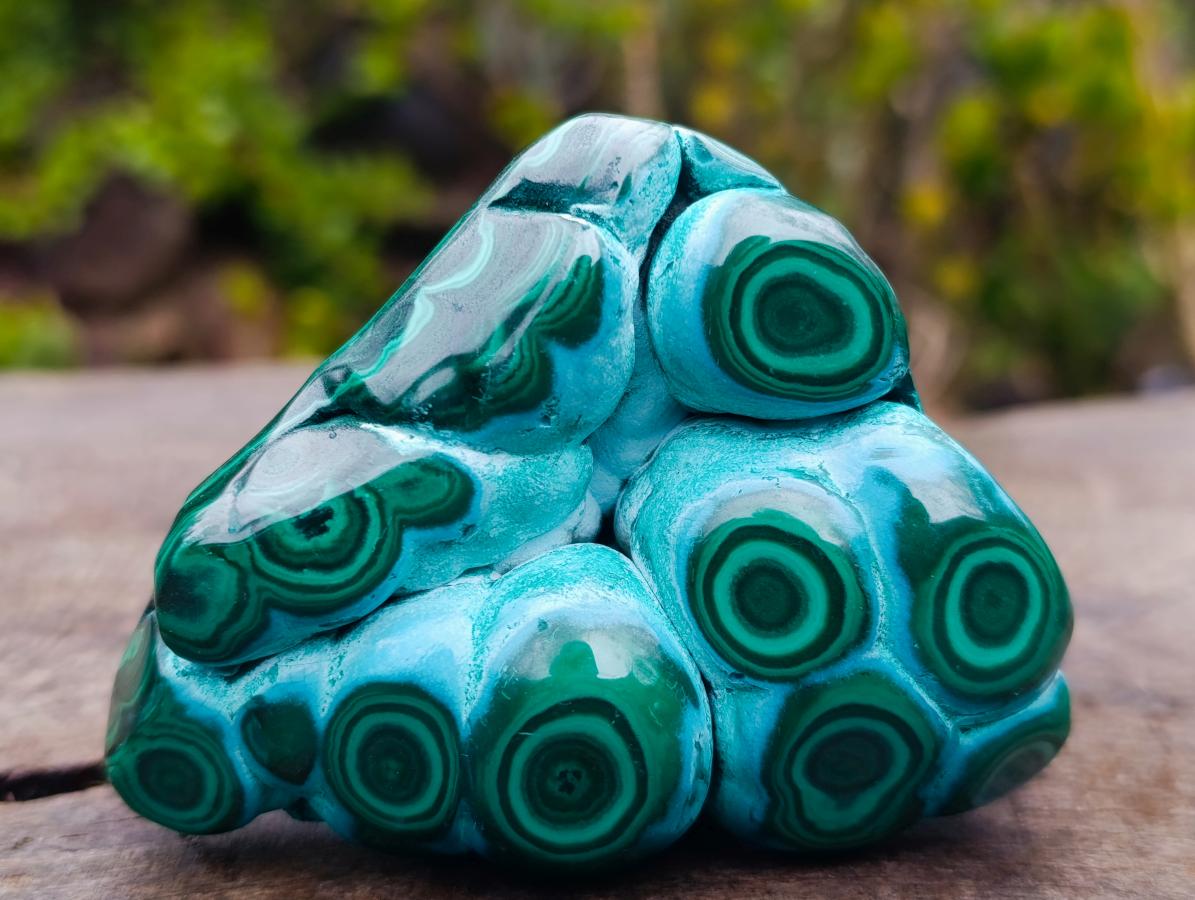 Polished "Eye" Ring Patterned Malacolla Free Form x 1 From Kulukuluku, Congo
