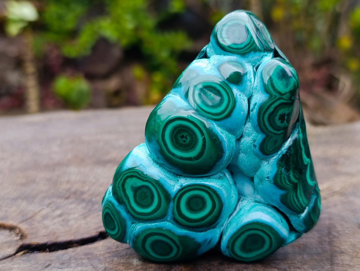 Polished "Eye" Ring Patterned Malacolla Free Form x 1 From Kulukuluku, Congo