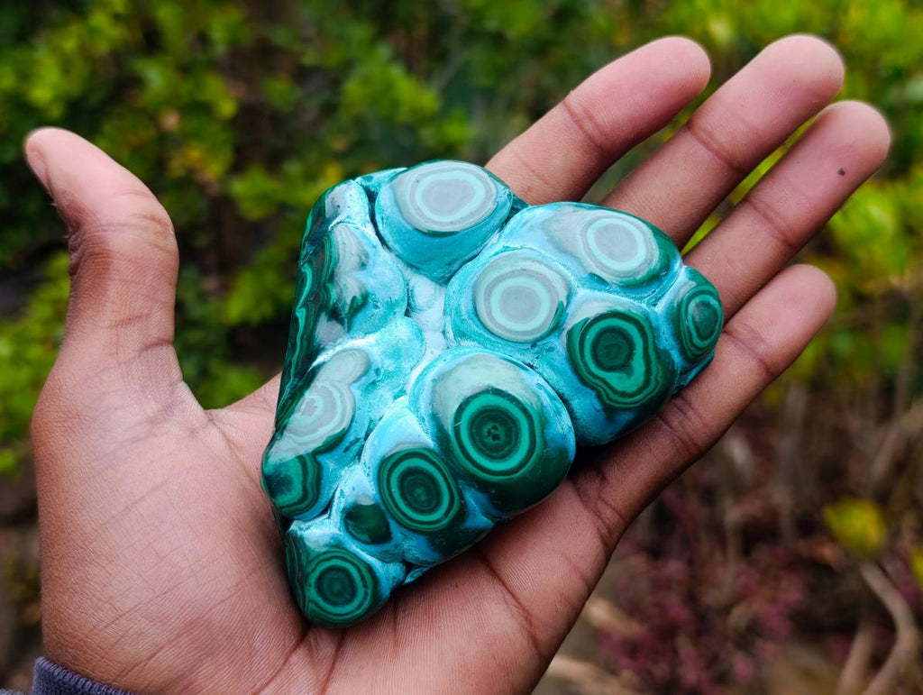 Polished "Eye" Ring Patterned Malacolla Free Form x 1 From Kulukuluku, Congo