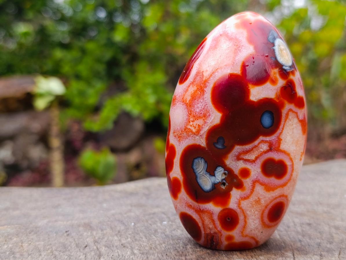 Polished Spotted Carnelian Gemstone Standing Display Piece x 1 From Madagascar