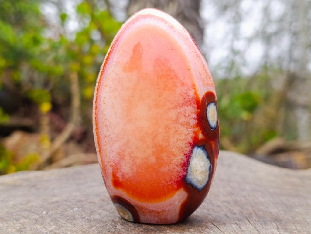 Polished Spotted Carnelian Gemstone Standing Display Piece x 1 From Madagascar