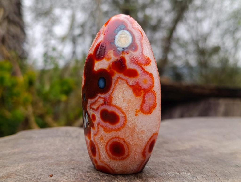 Polished Spotted Carnelian Gemstone Standing Display Piece x 1 From Madagascar