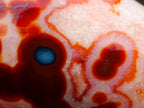 Polished Spotted Carnelian Gemstone Standing Display Piece x 1 From Madagascar