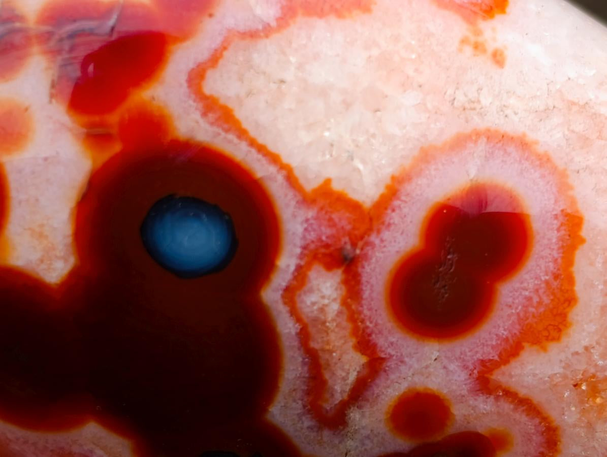 Polished Spotted Carnelian Gemstone Standing Display Piece x 1 From Madagascar
