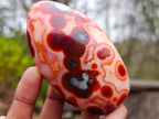 Polished Spotted Carnelian Gemstone Standing Display Piece x 1 From Madagascar